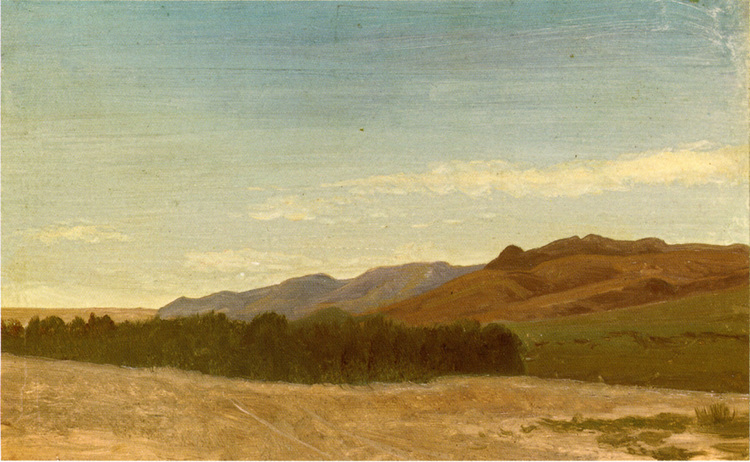 Albert Bierstadt Oil Painting The Plains Near Fort Laramie